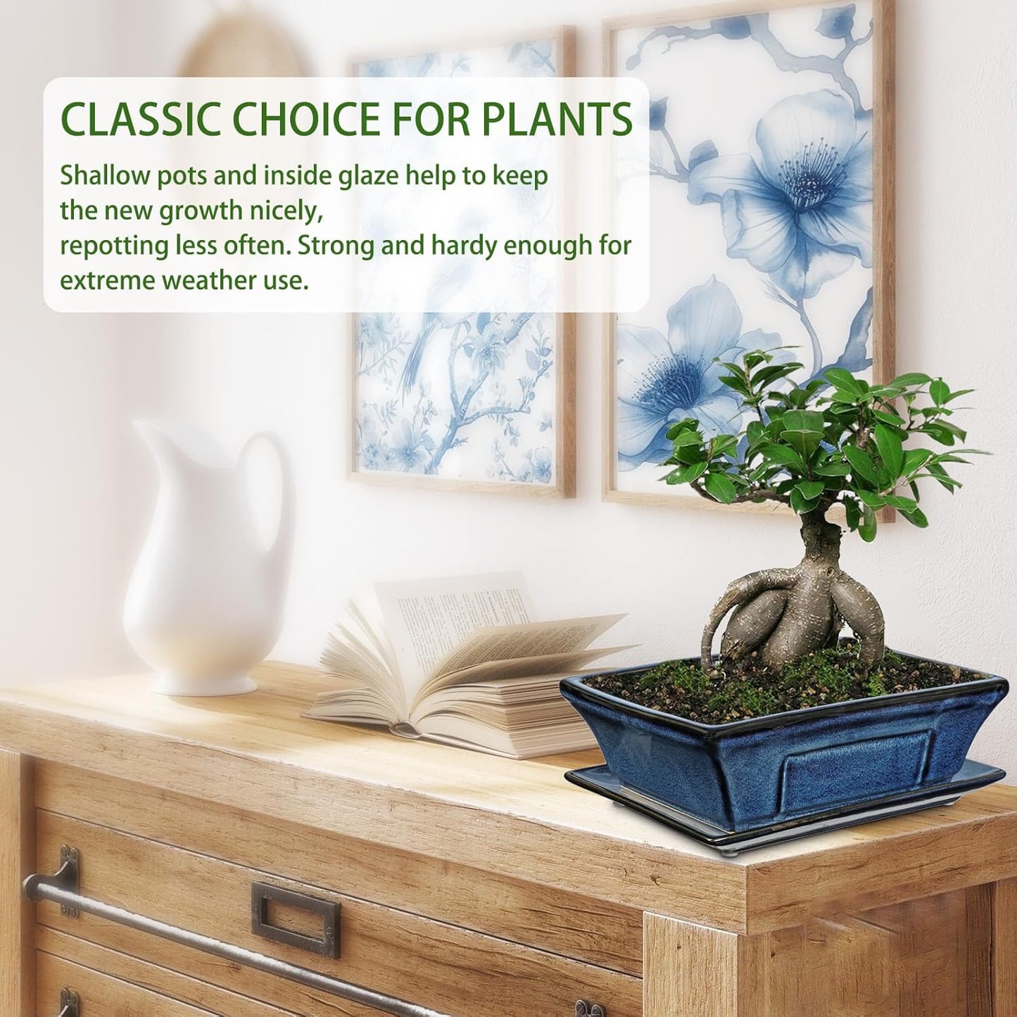 Large Ceramic Bonsai Pots with Drainage Trays Set of 2, 10" Blue Glazed Bonsai Planters for Indoor/Outdoor Use, Rectangular Shallow Bonzai Tree Pot for Succulent, Orchids, Cacti, Home, Patio, Garden