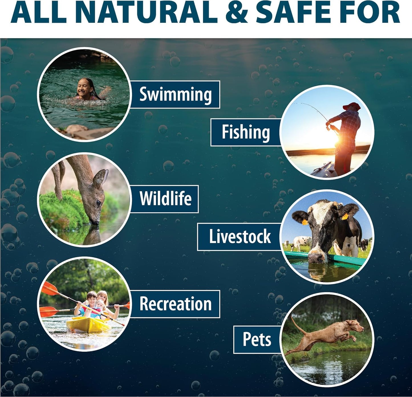 Airmax Pond Dye Packets Black DyeMond Colorant for Large Pond & Lake, Beneficial UV Blocking Color Concentrate, Maintain Clean & Clear Water, Fish, Bird & Animal Safe, 2 Soluble Packets