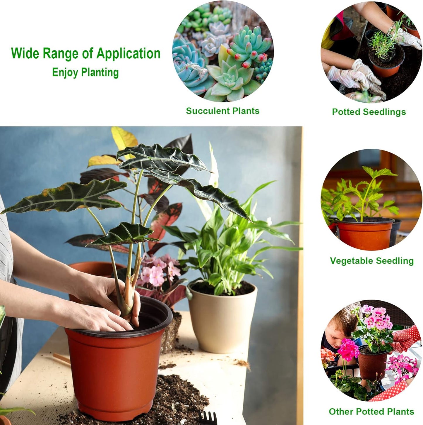 Augshy 110 Pcs 6" Plastic Plants Nursery Pot, Seed Starting Pots for Succulent Seedling Cutting Transplanting