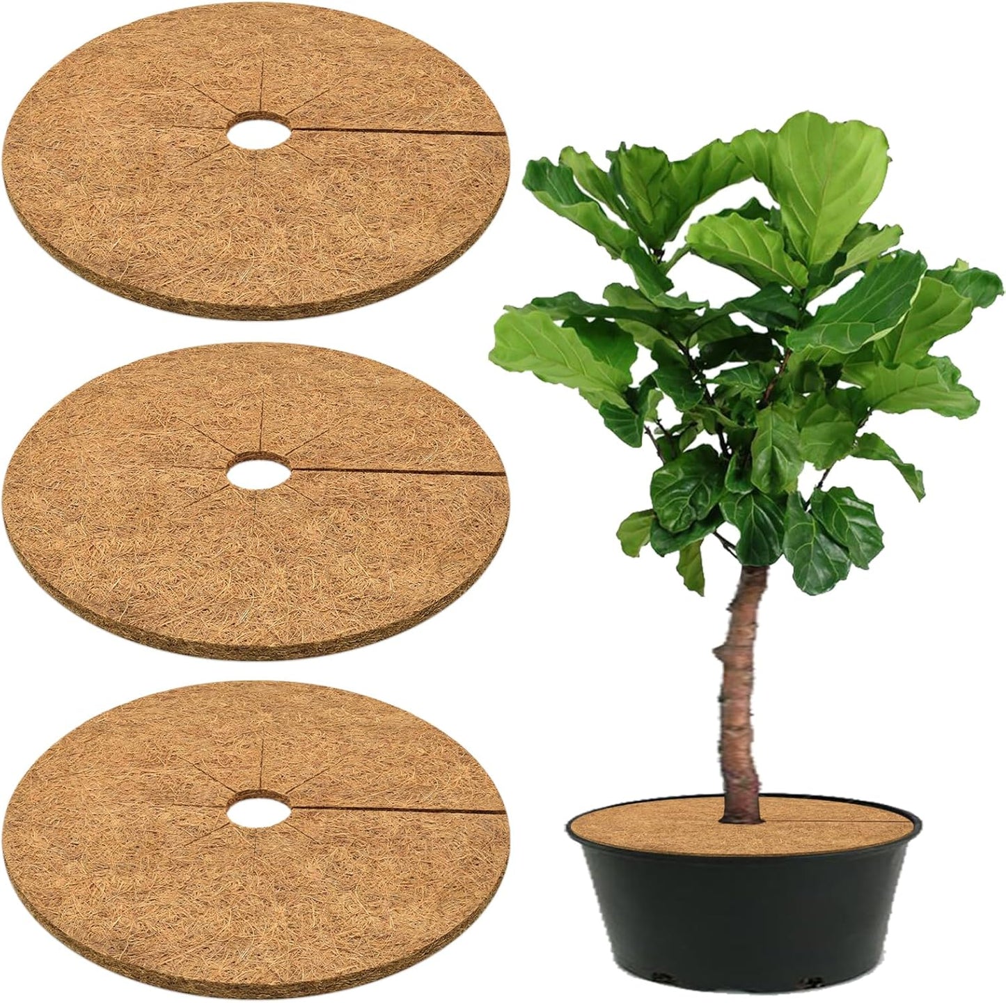 ZeeDix 3 Pack 30 Inch Coconut Fiber Tree Mulch Ring, 100% Natural Coco Coir Tree Ring Mulch Mat, Coconut Coir Discs Plant Cover Tree Protectors Mats Mulch Rings for Landscaping Trees Outdoor Plants