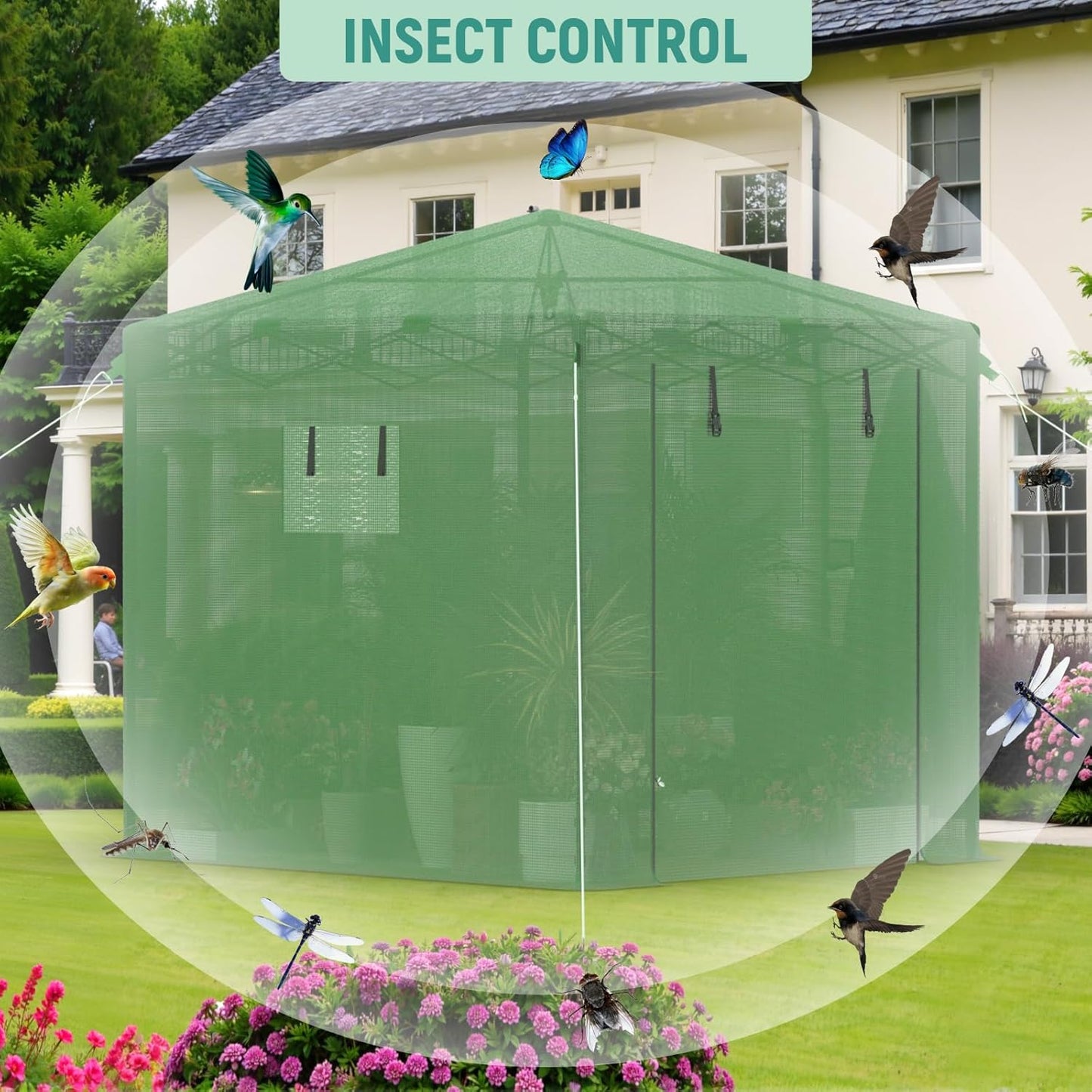 Pop Up Greenhouse 8x6FT, Pop Up Green House for Outdoors, Portable Greenhouses, Walk-in Greenhouses, Popup Greenhouse Kit, Easy Set Up