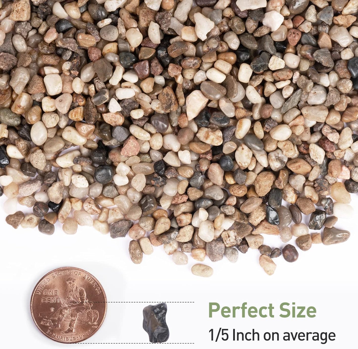 GASPRO Drainage Pebbles for Indoor Plants, 1/5 Inch Small Rocks for Potted Plants, Decorative Pebbles for Succulent, Cactus, Crafts, Bamboo, Pea Gravel for Landscaping, Aquarium, Fish Tank, 5lbs
