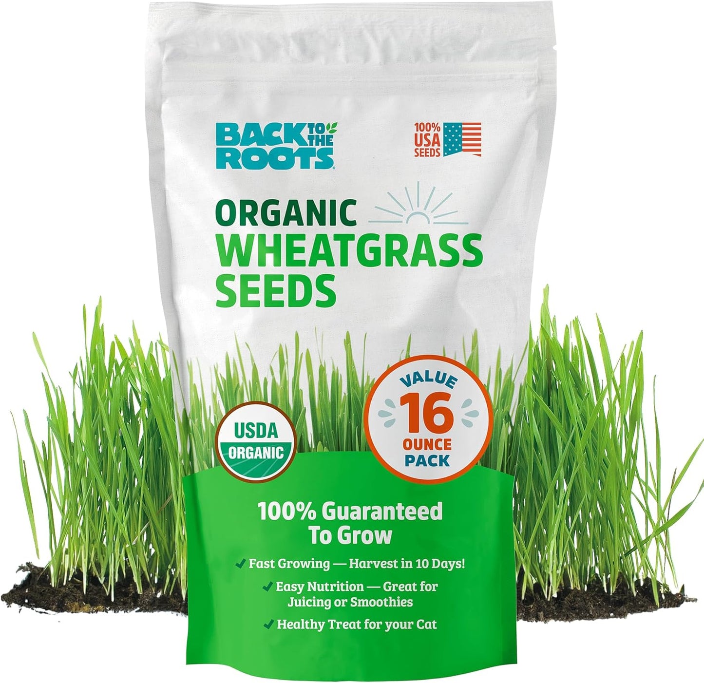 Back to the Roots 100% Organic Wheatgrass Seeds | 1 Pound Non-GMO | Nutrient Dense, Easy to Grow | Cat Grass Planter Seeds