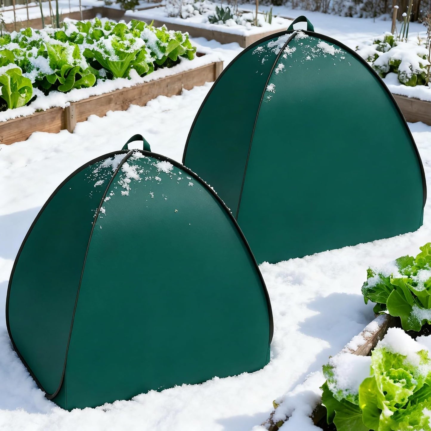 2 Pcs Pop Up Shrub Covers Frost Protection Tent, 30" x 28" x 28" Winter Plant Cover Freeze Protection, Warm Garden Plant Protector Tent for Protecting Outdoor Shrub Fruit Potted Plants from Snow & Ice