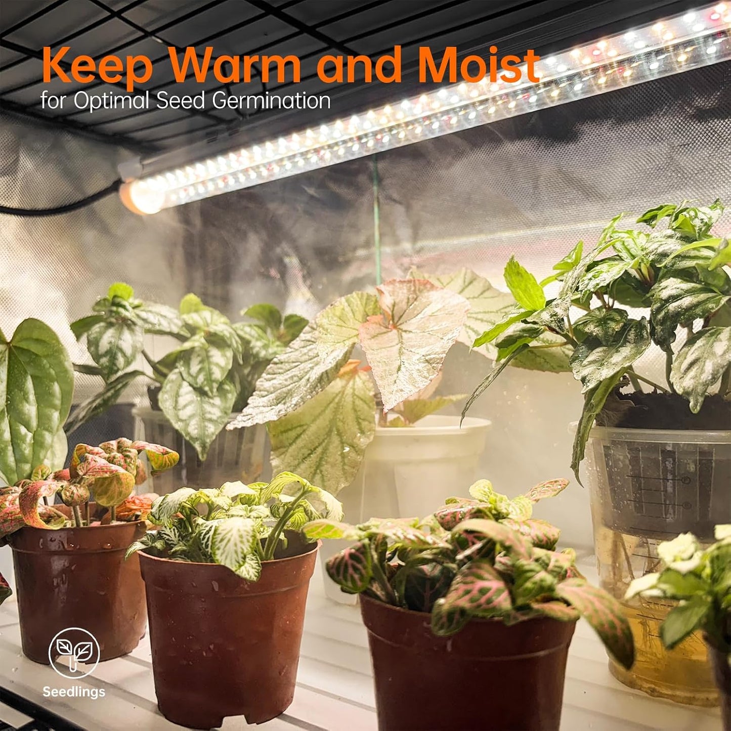 Indoor Greenhouse with Grow Light, Plant Stand with 4 Pack 24W Full Spectrum Plant Lights , Plant Shelf with Tent for Indoor Plant, Seed Starting, Seed Tray, 29.5"x13.8"x59"