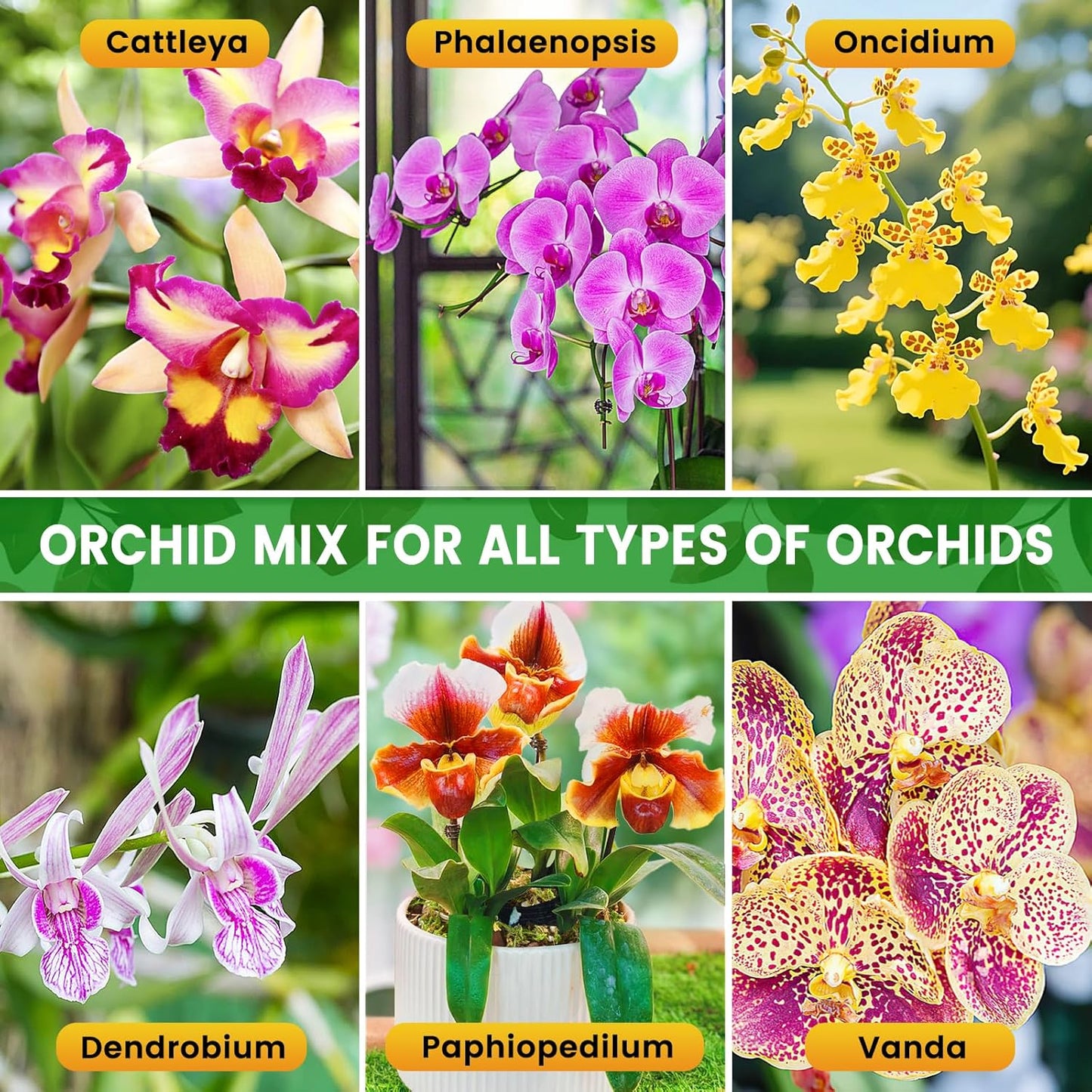Legigo 4 QT Orchid Potting Mix- Natural Orchid Soil Mix for Repotting with Moss, Pine Bark, Coco Peat and Perlite, Enhanced Drainage Orchid Bark Potting Mix Repotting Kit for Indoor Plant Growth