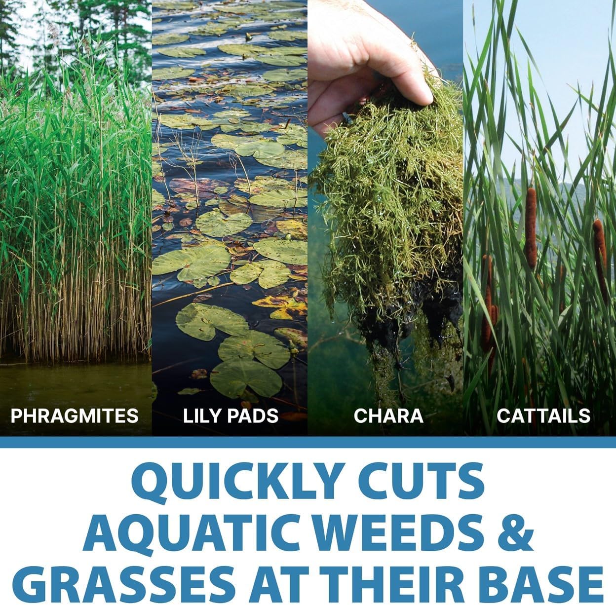 Jenlis Weed Razer Pro, Lake Weed Cutter, Large Pond Aquatic Plant Cutting Tool, Sharp Razor Blades Shear Cattail, Reed, Lilly & Chara Algae, Adjustable 30"-62” Inch Cut Width, 25' Foot Throw Rope