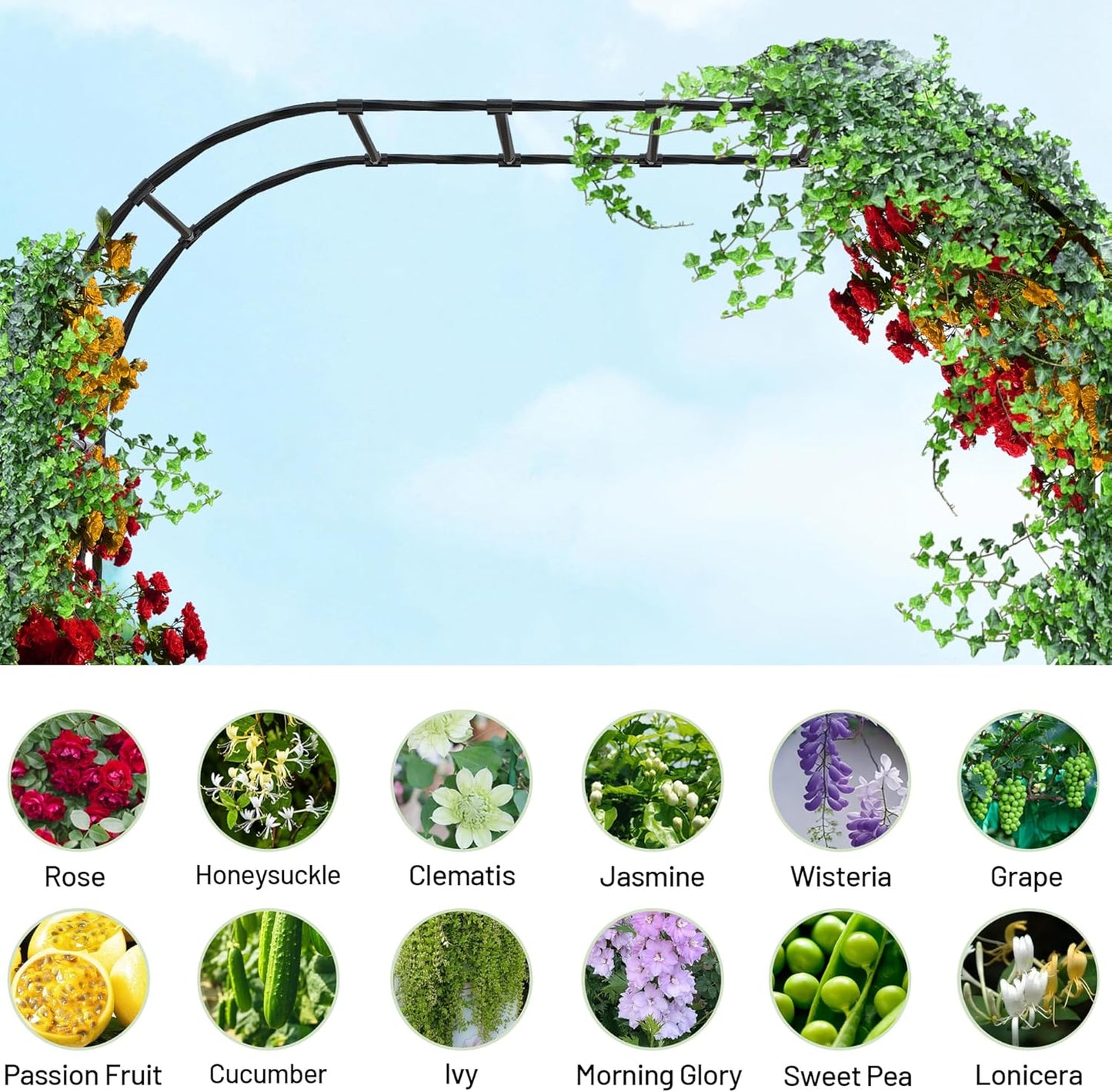 Twira Garden Arch Trellis, 7.9FT(240cm) Metal Garden Arbor Trellis for Climbing Plants Outdoor, Large Wedding Arch for Ceremony, Black Garden Archway Trellises Decoration for Lawn, Patio, Backyard