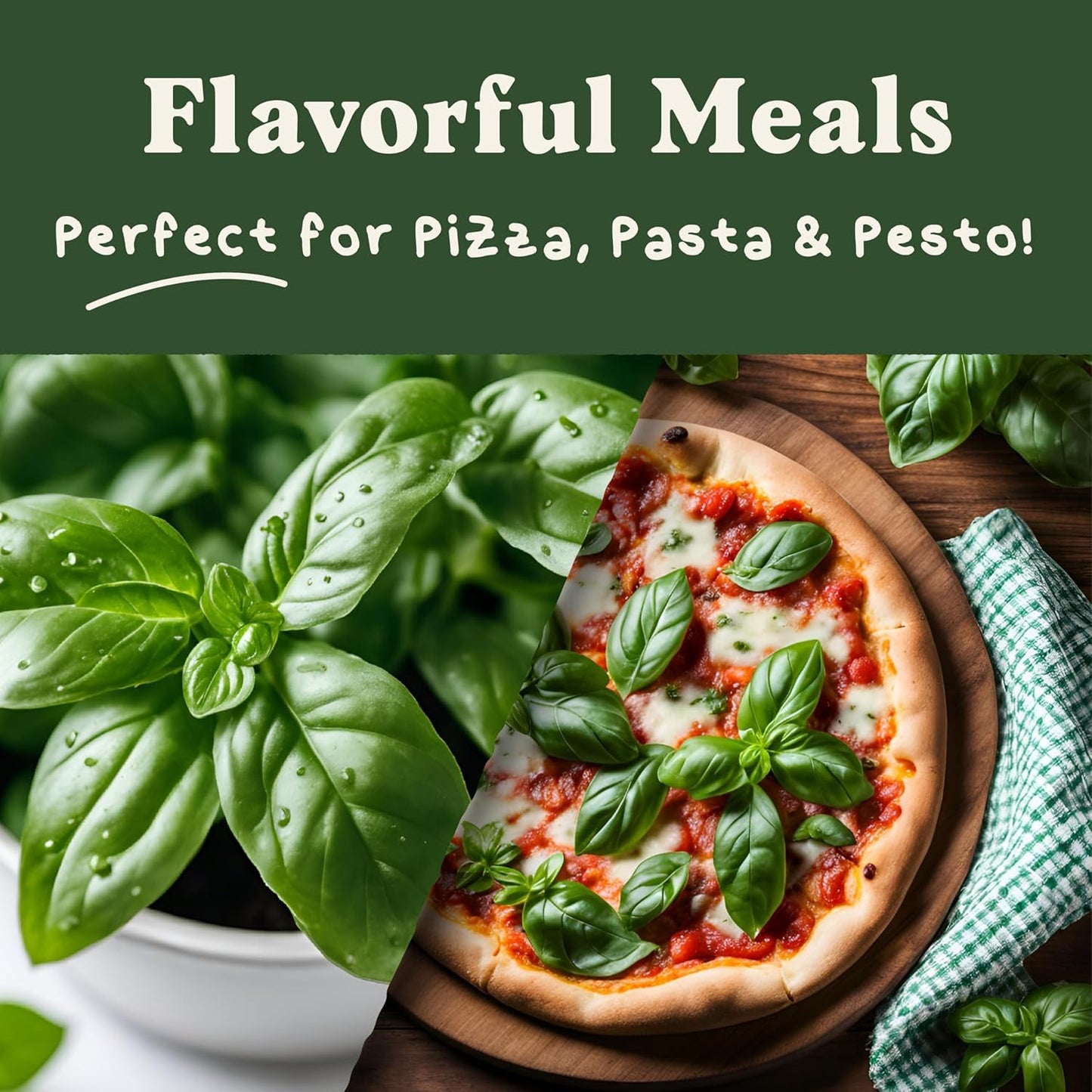 Seedboy 250 Organic Basil Seeds for Planting Indoor and Outdoor, Non-GMO and USDA Certified Herb Seed Packet for Hydroponic Garden Indoor or Planting Outdoors (Genovese Basil)