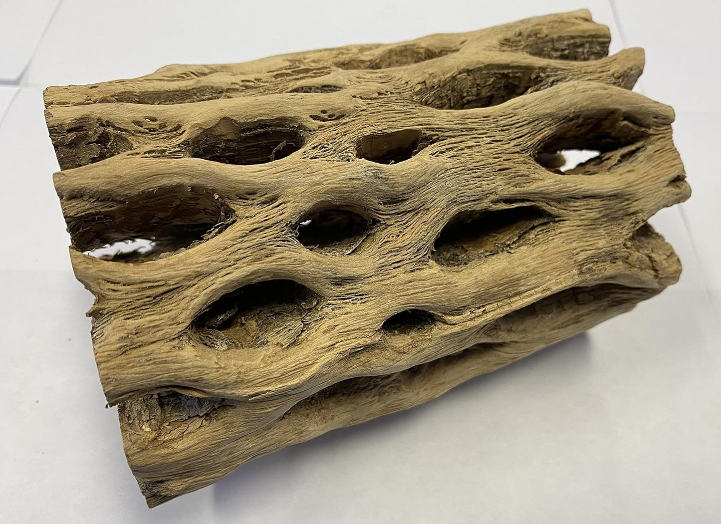 Awesome Aquatic 6 in x 2-3” Thick XL Teddy Bear/Chain Fruit/Buckhorn/Staghorn Cholla Wood Hollow Tube Wood Cactus Skeleton Tubes Thick/Diameter (6 in x 2-3 in Diameter)