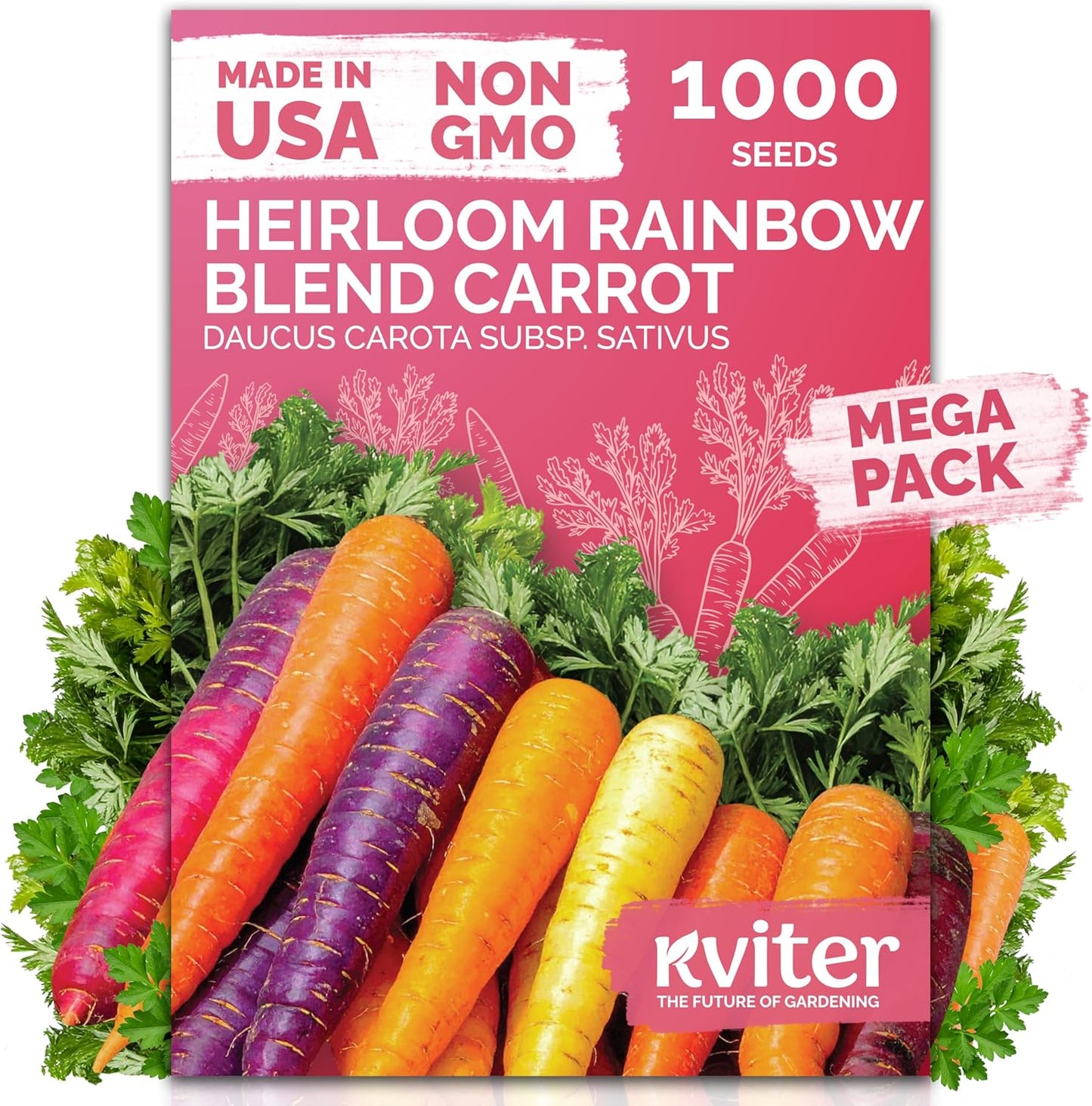 KVITER 1,000 Rainbow Carrot Seeds (Daucus Carota) - Baby Carrots Mix, Sweet & Tender Taste - Heirloom & Organic Carrots Seeds for Planting in Vegetable Garden, Raised Beds & Containers