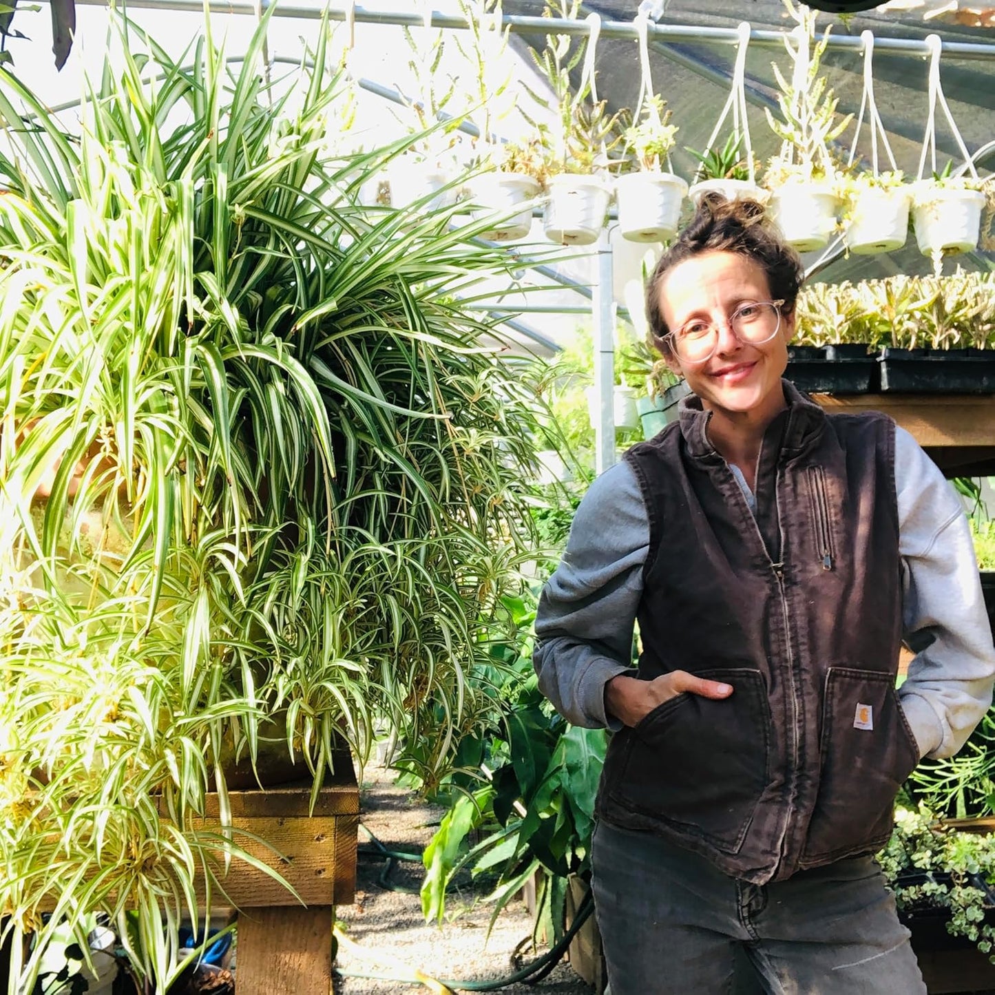 Smoke Camp Crafts - Organic -Spider Plant Trio