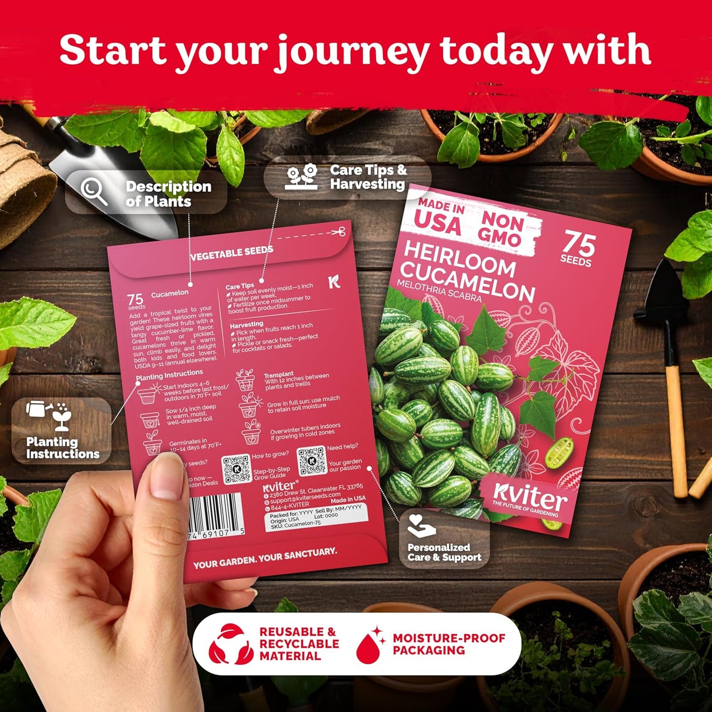 KVITER 75 Cucamelon Seeds for Planting (Melothria Scabra) – Mexican Sour Gherkin Seeds, Gherkin Cucumber, Mexican Mini Watermelon – Heirloom Vegetable Seed for Outdoor & Indoor Garden, Containers