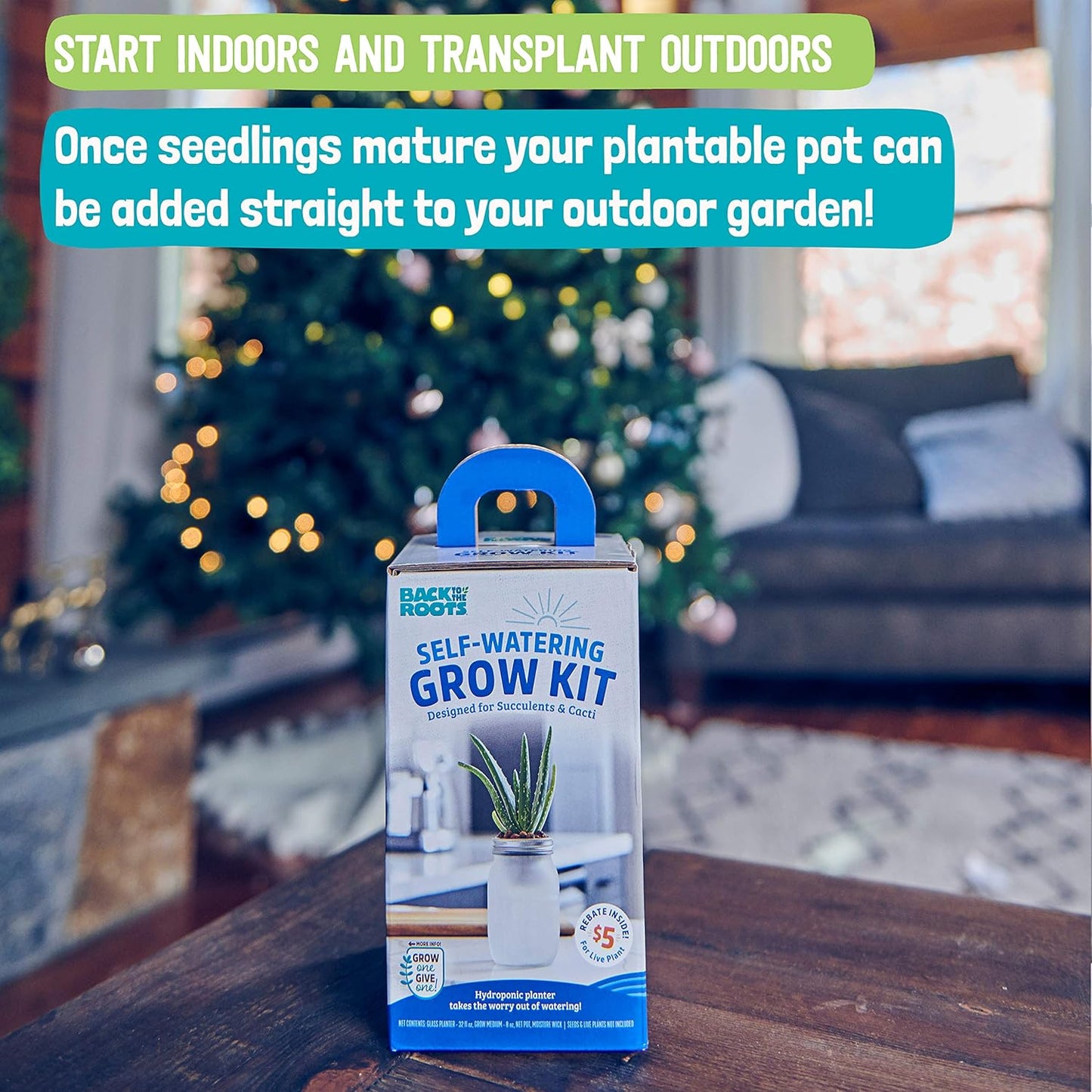 Back to the Roots Self Watering Grow Kit - Glass Hydroponic Planters for Succulents and Cacti Self-Watering System