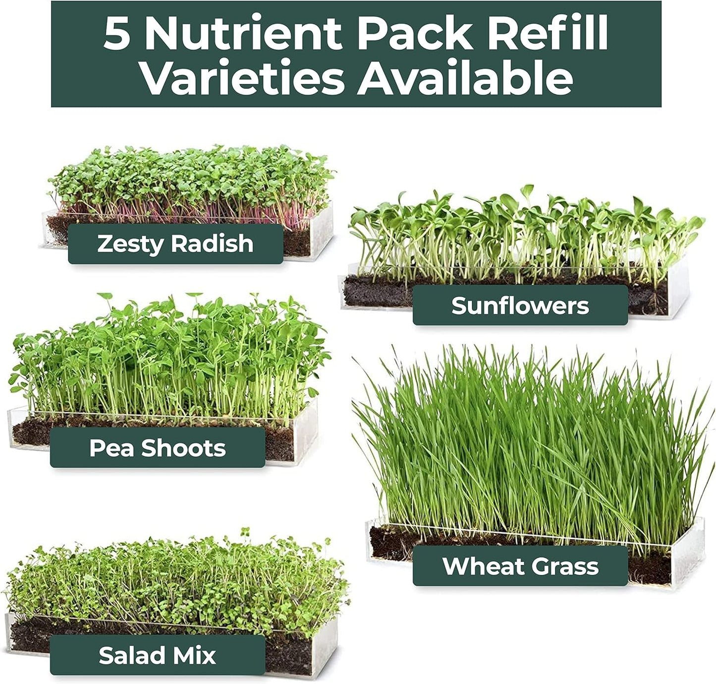 Window Garden Microgreens Grow Kit - Non GMO, Organic Microgreen Seeds, Fiber Soil, Acrylic Tray, Sprayer - Indoor & Outdoor Tools for Gardening, Seedling, Planting Superfood, Hydroponic Growing Kit
