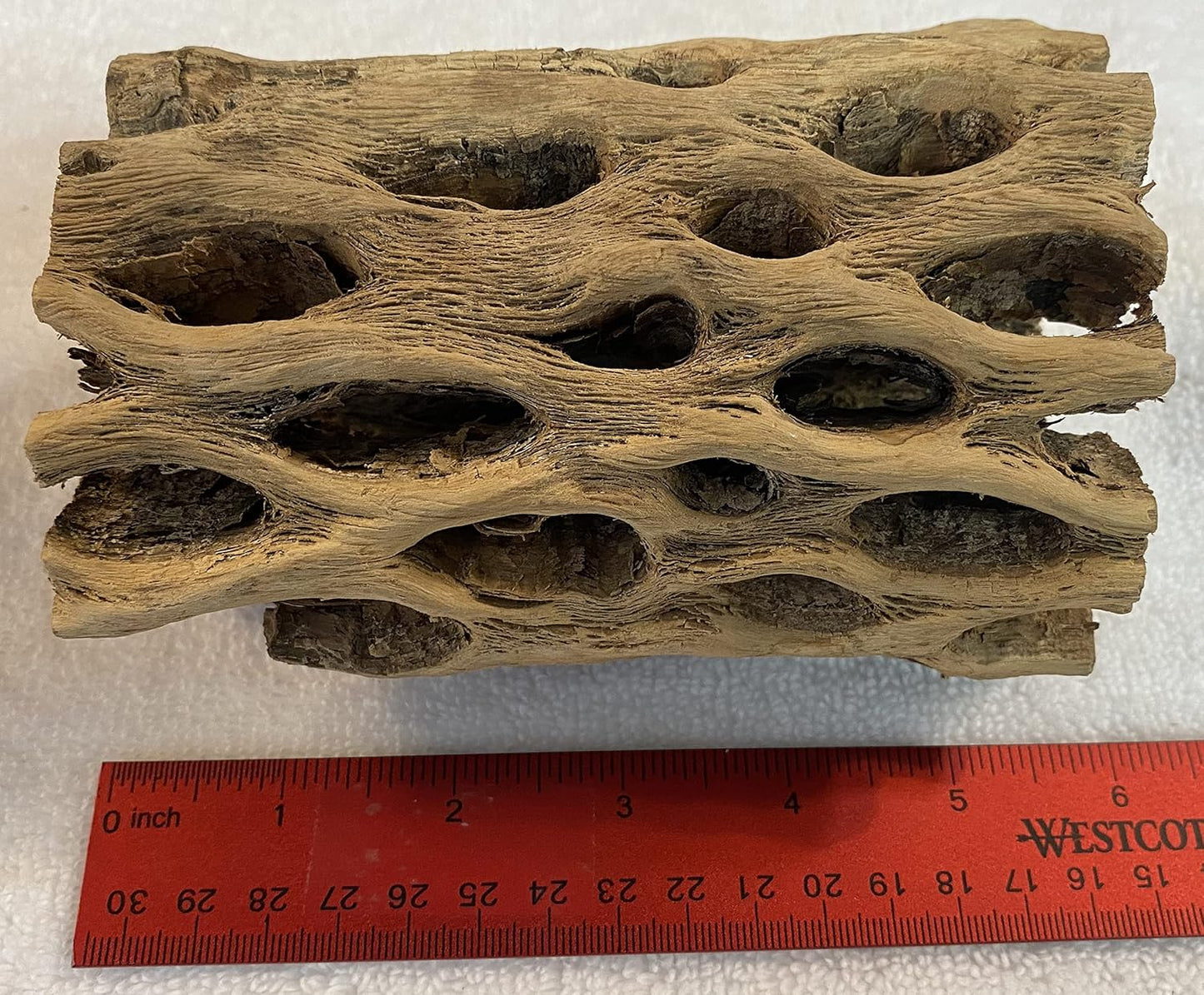 Awesome Aquatic 3 in Plus Thick XL Teddy Bear/Chain Fruit/Buckhorn/Staghorn Cholla Wood Hollow Tube Wood Cactus Skeleton Tubes 3” Plus Thick/Diameter (6 in x 3 in Plus Diameter)