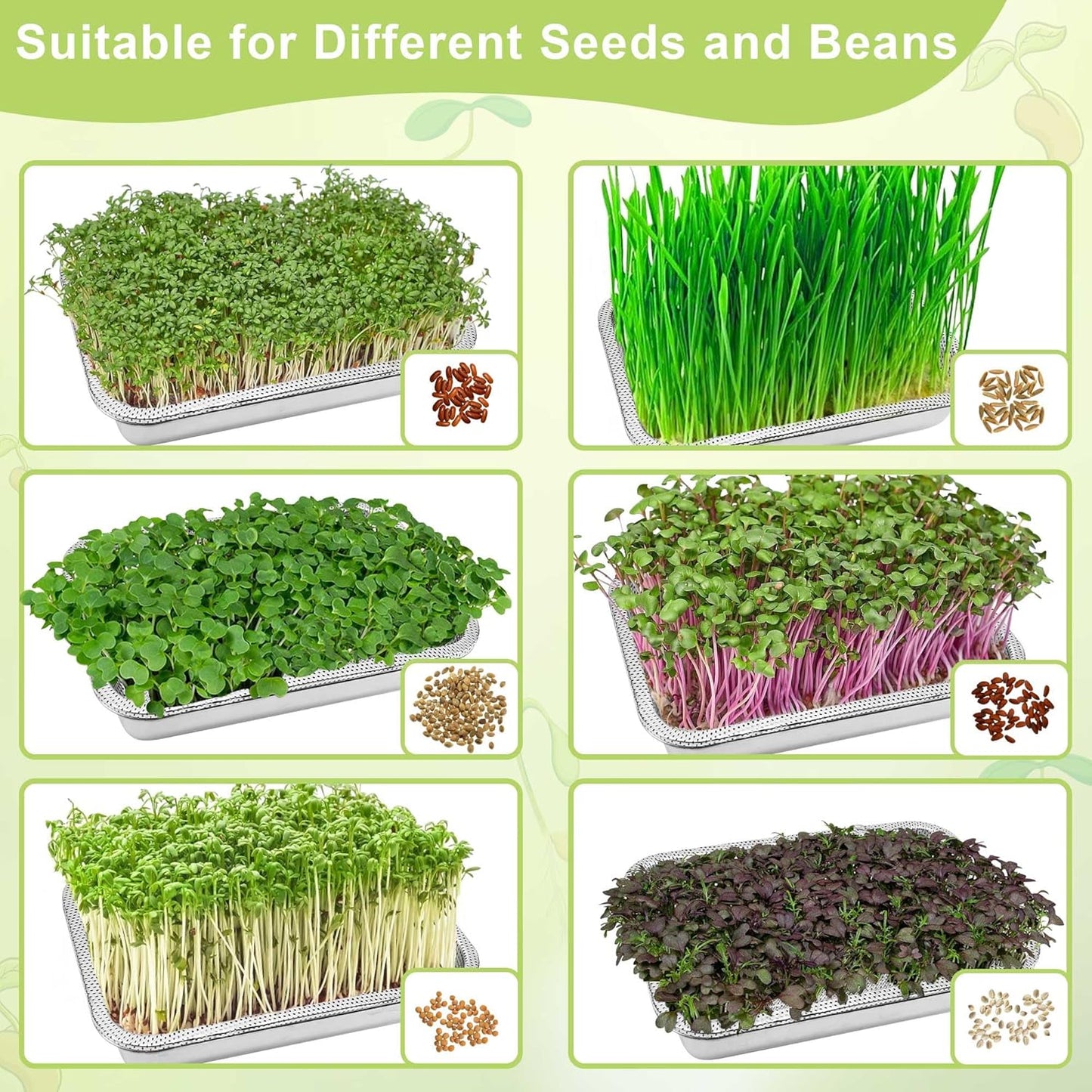 Stainless Steel Sprouts Growing Kit 4-Tier 10.4 inch Trays, Microgreens Growing Kit, Seed Sprouting Tray with Encrypted Mesh Sprouts for Beans Alfalfa Broccoli Wheat Grass