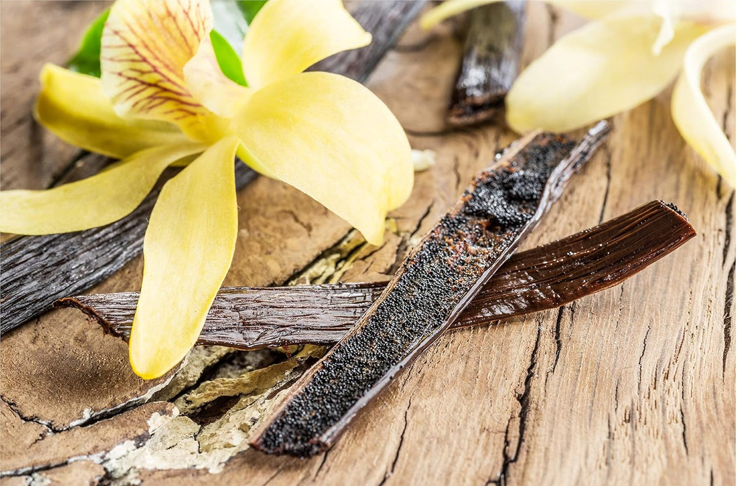 50 Vanilla Beans - Whole Extract Grade B Pods for Baking, Homemade Extract, Brewing, Coffee, Cooking - Tahitian