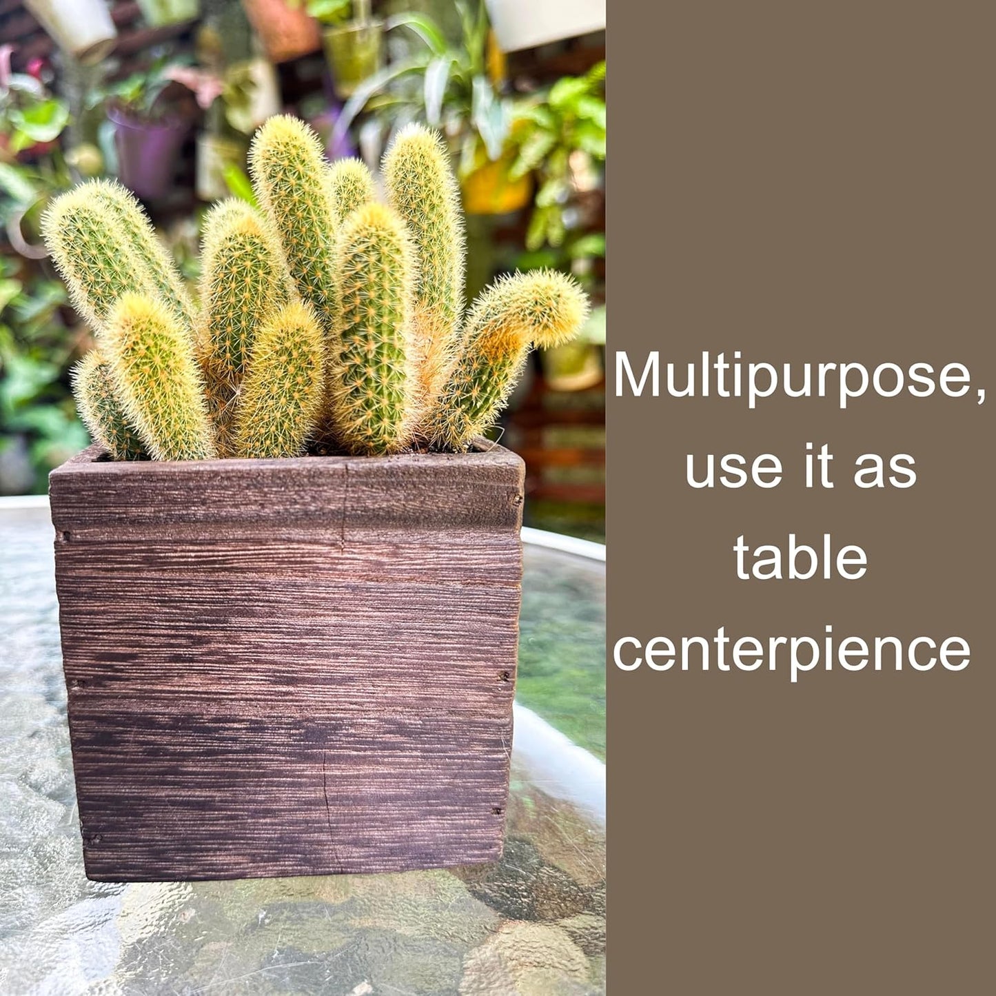 LaLaGreen Wood Planter Boxes for Plants (4x4 Inch, 8 Pack) Small Square Wall Mounted Planters for Indoor Plant, Herb Wooden Box Hanging Flower Pot Plant Holder Outdoor Fence Vertical Garden Home Decor