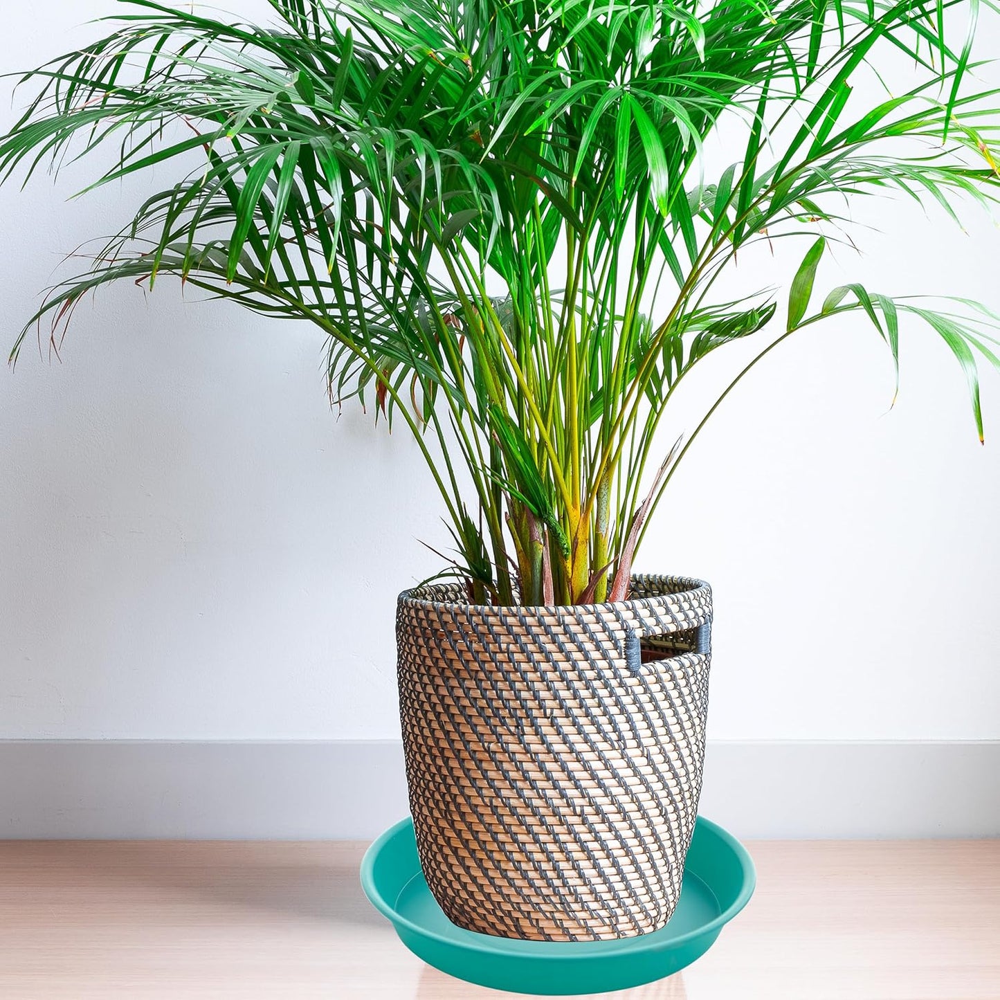 2 Pack of Bird Bath Bowl 12", 1.6" Depth, 10 12 inch Birdbath Bowls Dish Only for The Garden, Large Plant Saucer (12", Teal)