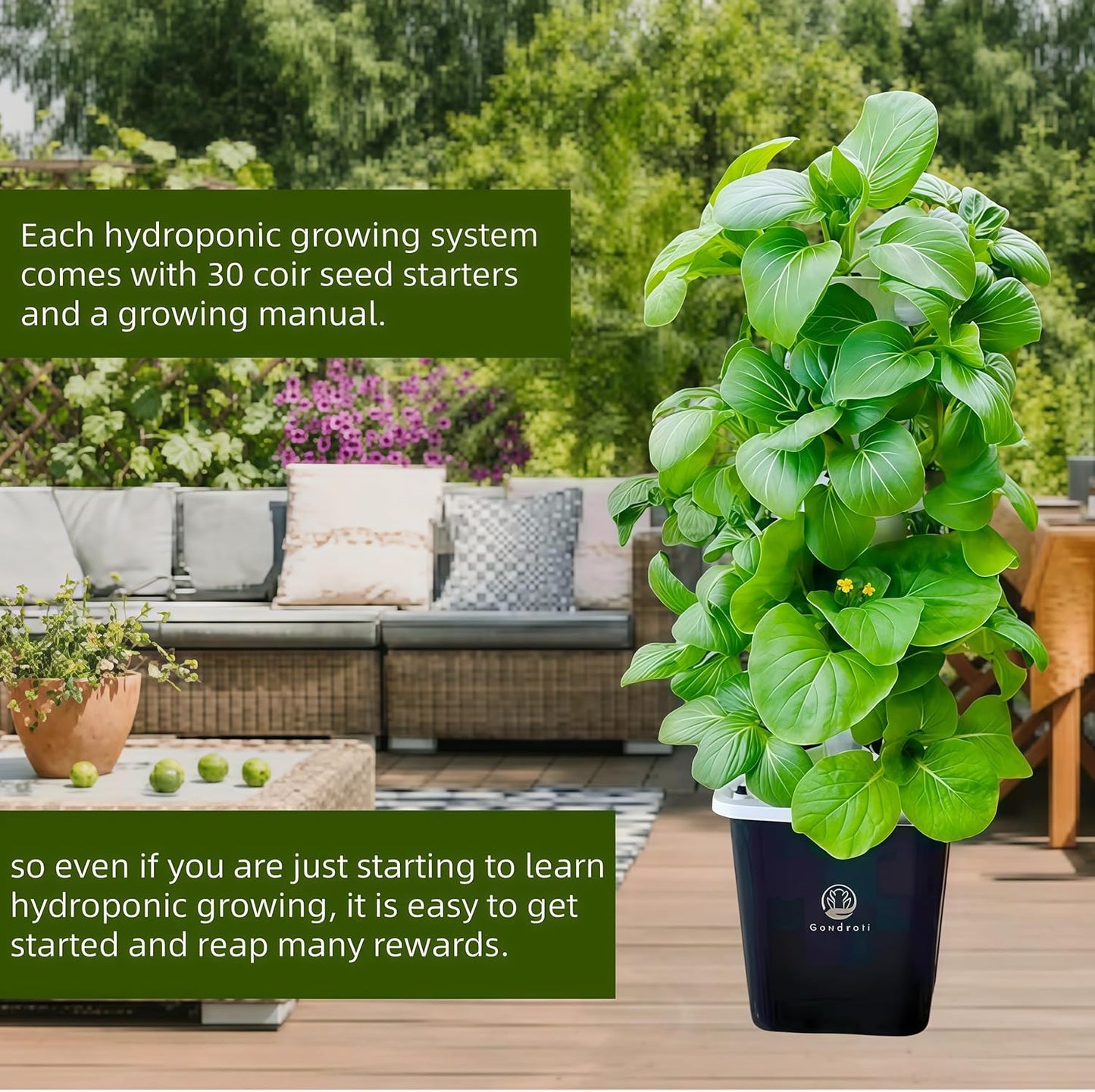 Hydroponic Growing System,Hydroponic Vertical Garden,Indoor Smart hydroponic Vegetable System, 30 Pods,Plant Germination kit with Pump System, Auto Timer, Beginner kit