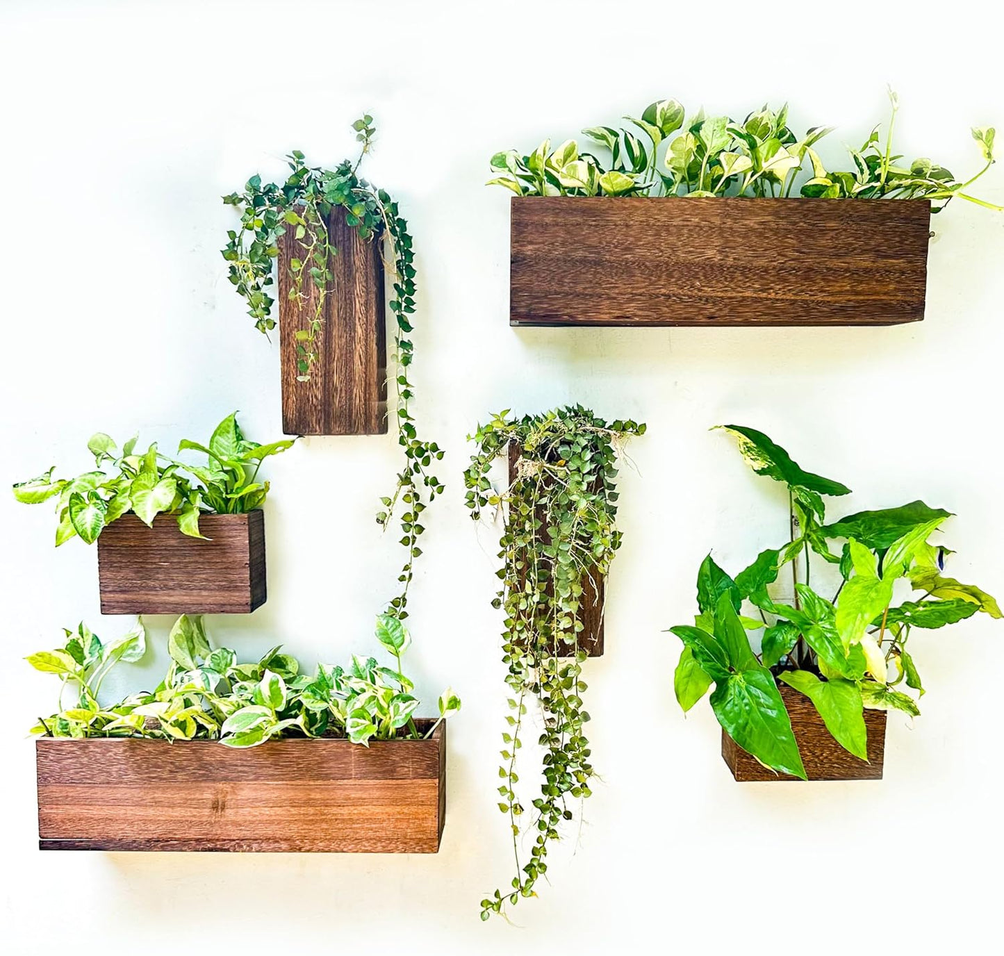 LaLaGreen Wood Planter Box for Plants (6 Pack) Wooden Hanging Wall Planters for Indoor Plant Holder Vase for Dried Flowers, Modern Farmhouse Wall Decor Living Room Bedroom Kitchen Office Home Garden