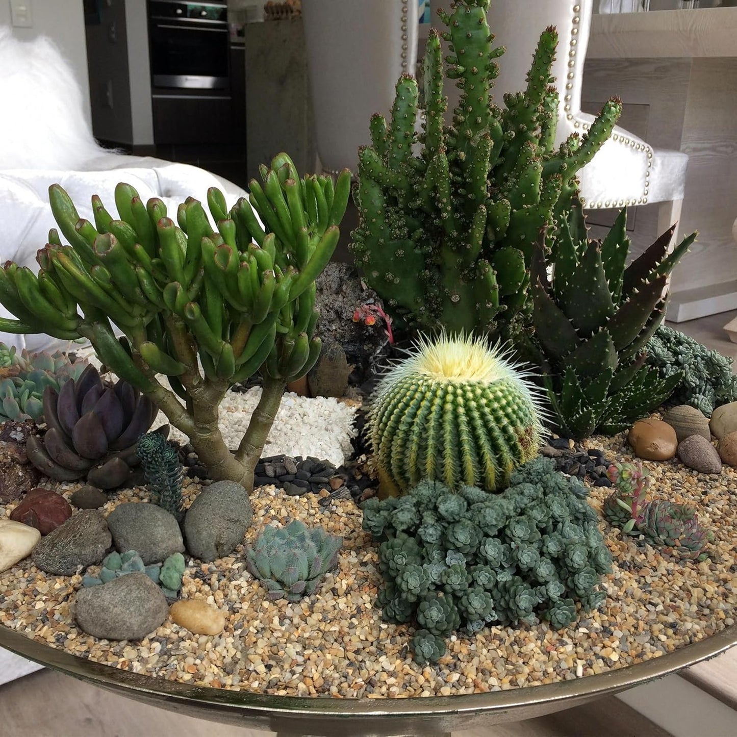 Aquarium Gravel 20 lbs, 2-4mm Fish Tank Gravel, Succulent Cactus Pea Gravel for Indoor Plants, River Rocks for Gardening, Flower Pots, Vase Fillers, Garden Landscaping