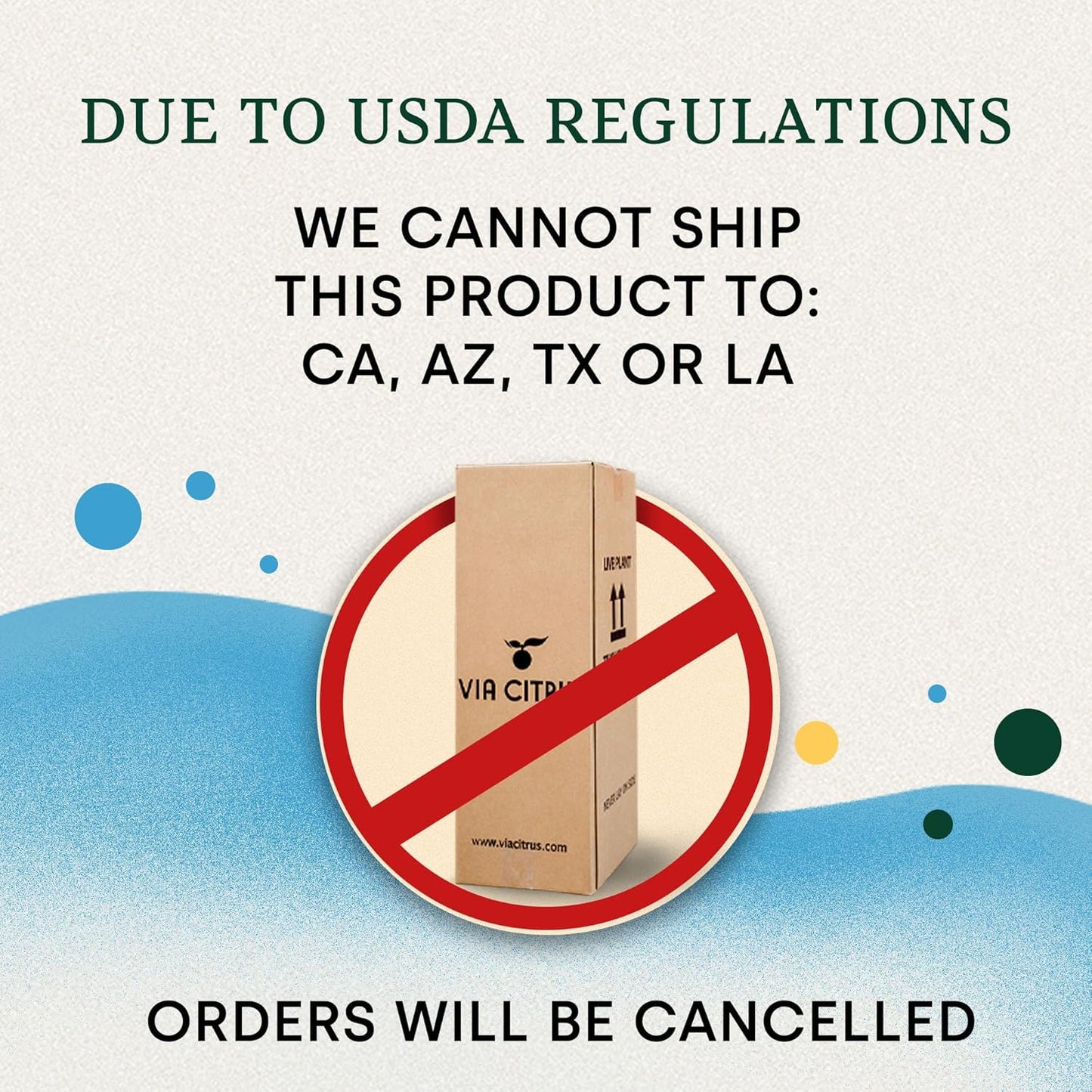 Key Lime Trees Indoor Plants Outdoor - Limes Citrus Tree Patio, Live Outdoor Tree Cannot Ship: CA/AZ/TX/LA – Potted Key Lime Plant, Indoor Fruit Trees Live Plants by Via Citrus