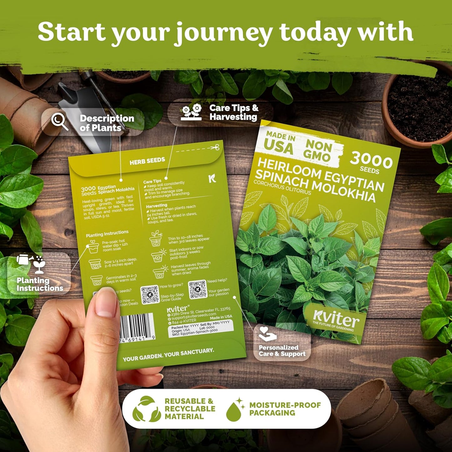 KVITER 3000 Egyptian Spinach Seeds - Molokhia (Corchorus Olitorius) – Jute Leaves, Ewedu, Rau Day, Saluyot Vegetable Seed – Non GMO & Heirloom Vegetable Seeds for Planting Outdoors & Indoors