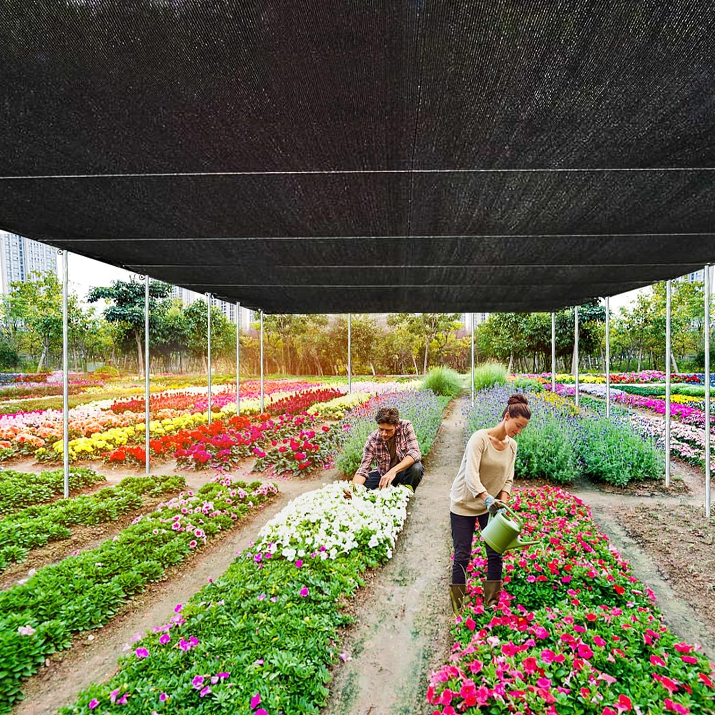 Shade Cloth for Plants Greenhouse, 80-90% Sunblock Shade Sails for Outdoor Garden Pergola Patio Lawn, Sun Protection Screens for Kennel Chicken Coop Easier to Hang Neting Cover, 5x12 FT