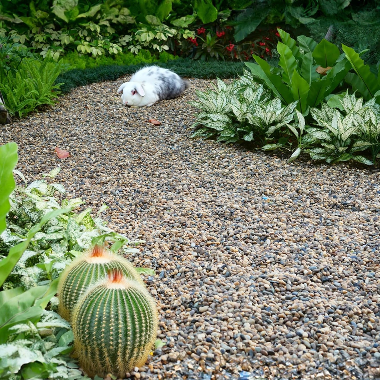 Aquarium Gravel 20 lbs, 3-6mm Fish Tank Gravel, Succulent Cactus Pea Gravel for Indoor Plants, River Rocks for Gardening, Flower Pots, Vase Fillers, Garden Landscaping