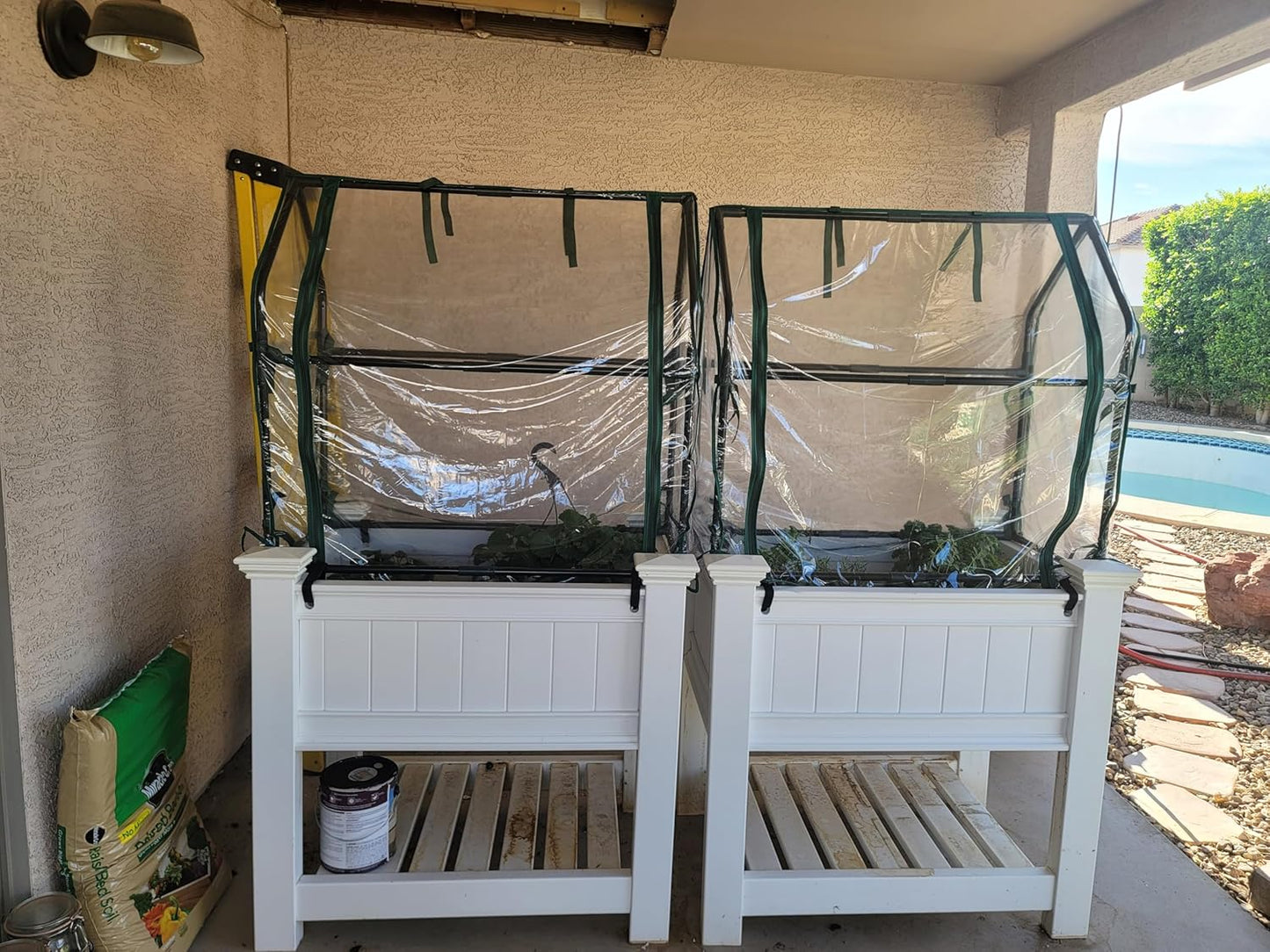 Gardzen Mini Greenhouse Heavy Duty Portable Green House, Clear Tent Small Greenhouse for Indoor Outdoor Plants 36.2”(L) x36.2”(W) x42.5”(H)