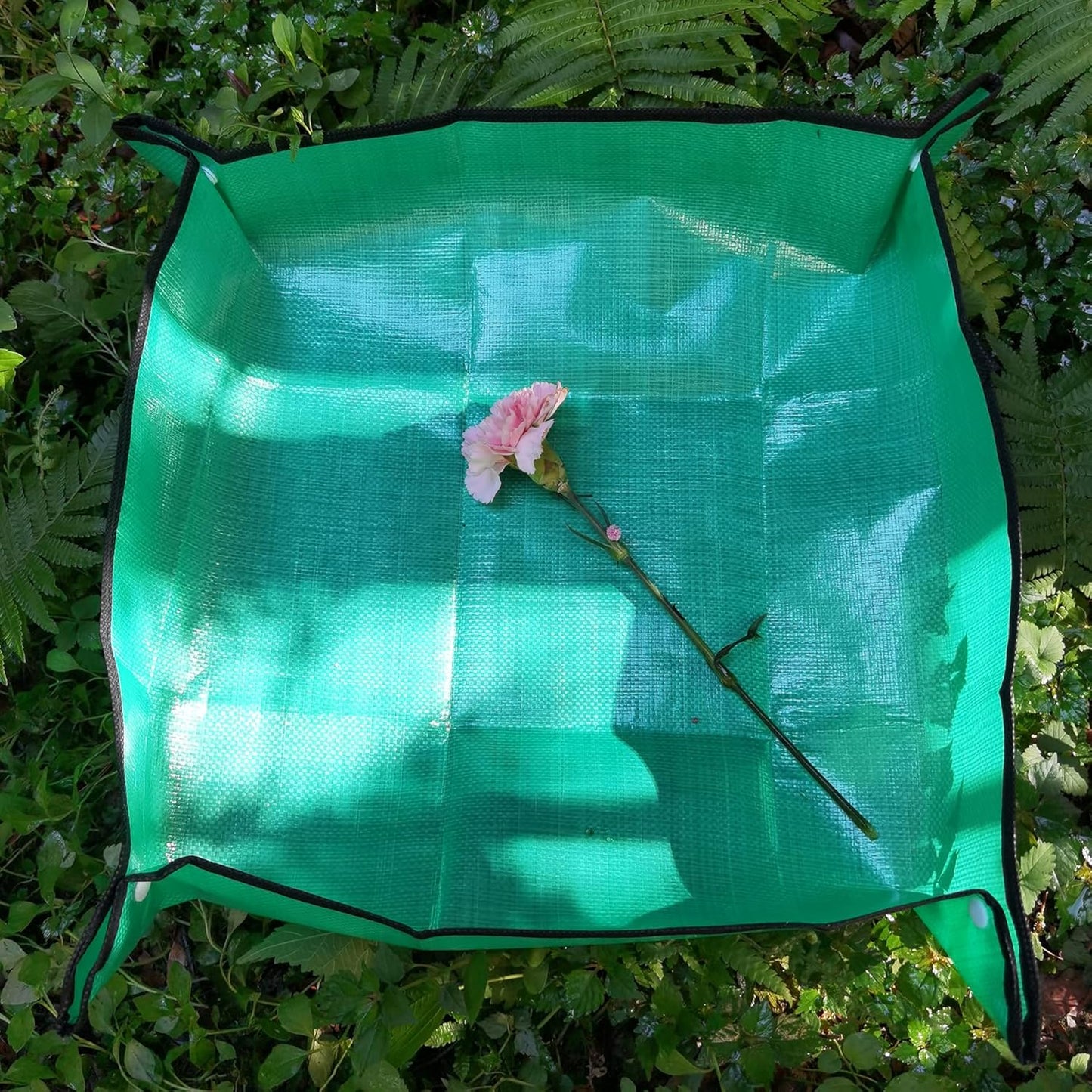 Butterfly Habitat with Poo Platter, Cage with Poo Mat, Monarch Butterfly Cage 24 Inches Tall