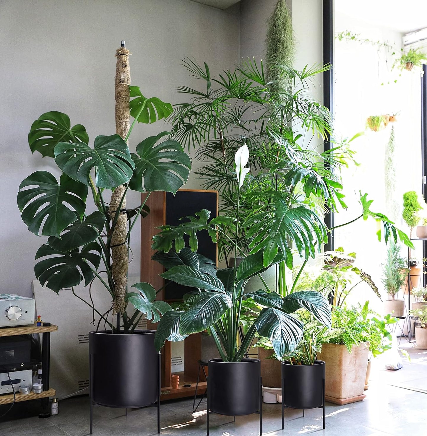 D'vine Dev Mid Century Plants Pot Cylinder Planter with Heavy Duty Stand, XX-Large 16 Inch Pot, 22.8 Inch with Stand Height, Black, 96-T-B-5