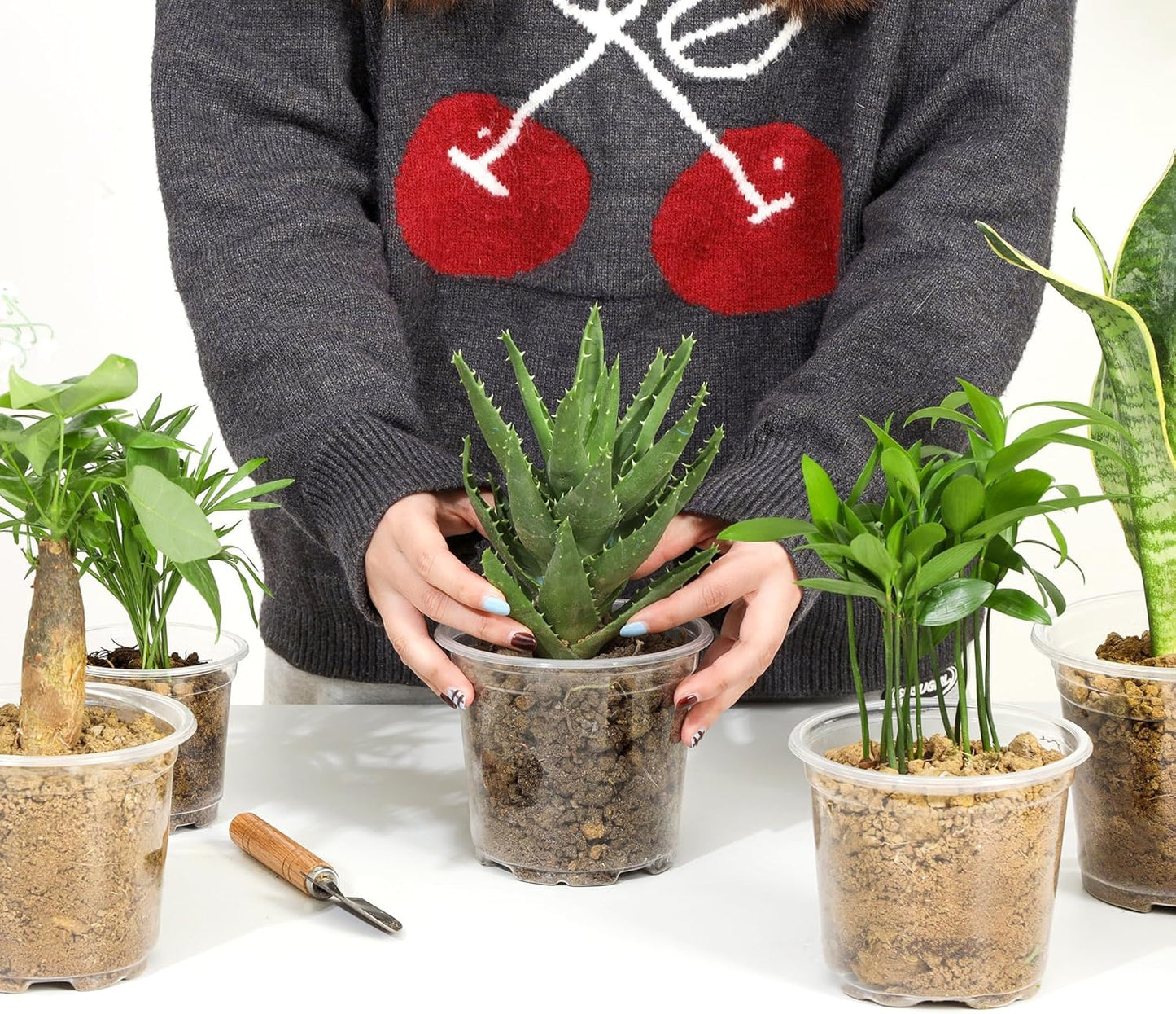 60 Pack 4/5/6 Inch Clear Nursery Pots with Drainage Holes, Transparent Plastic Plant Pots, Reinforced Seed Starter Flower Pots, Comes with 50pcs Plant Labels