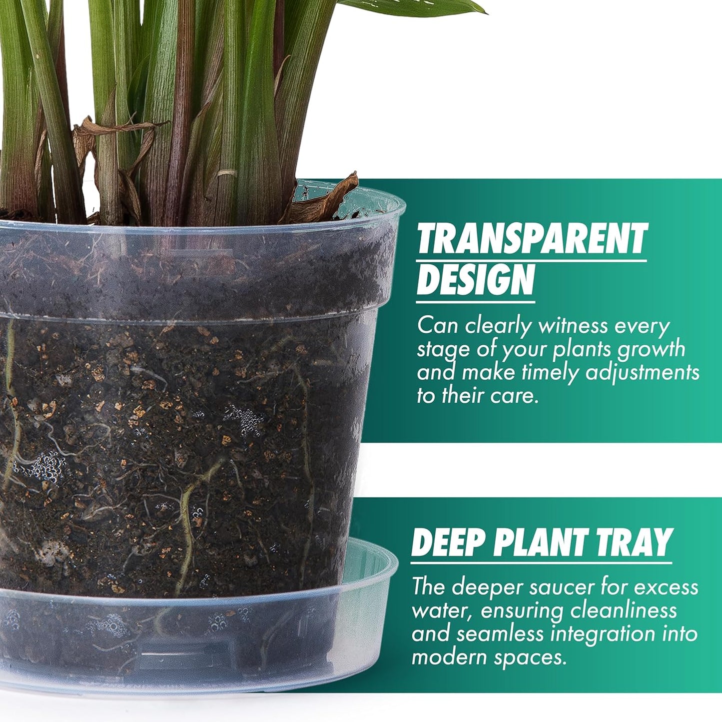 6 Inch Clear Plastic Plant Pot with Drainage Holes, Interlocking & Detachable Tray - Deep Saucer - Durable BPA-Free Plastic, Transparent Design, Raised Base for Airflow, Set of 12, 92-X-B-5